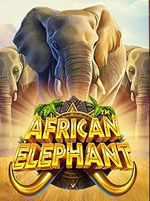 African Elephant™
